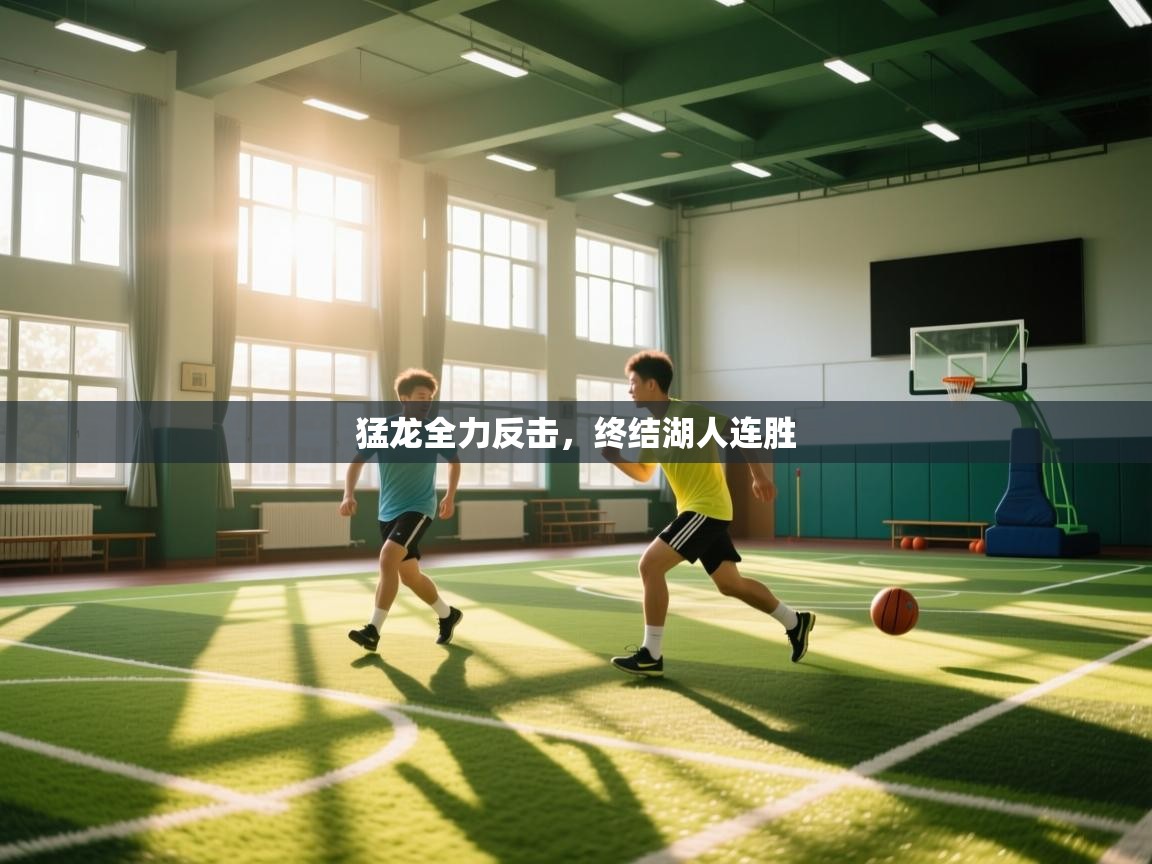 猛龙全力反击，终结湖人连胜  第2张