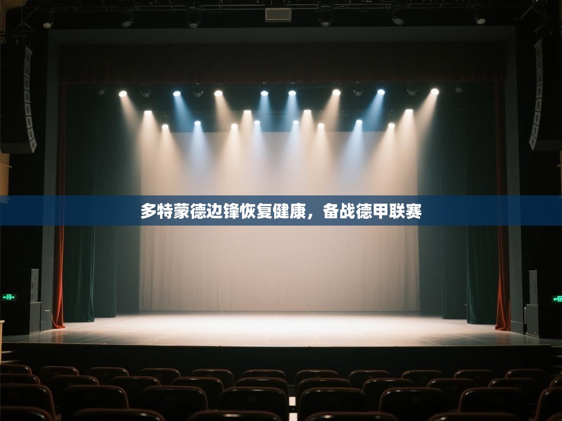 多特蒙德边锋恢复健康,备战德甲联赛 第1张