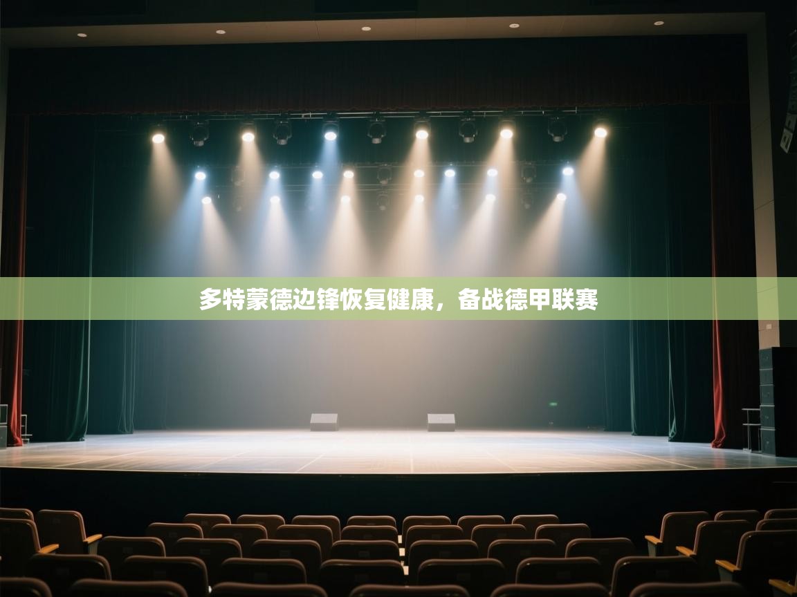 多特蒙德边锋恢复健康,备战德甲联赛 第2张